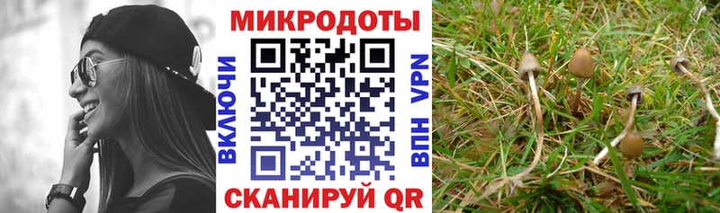 Псилоцибиновые грибы ЛСД  Чкаловск 